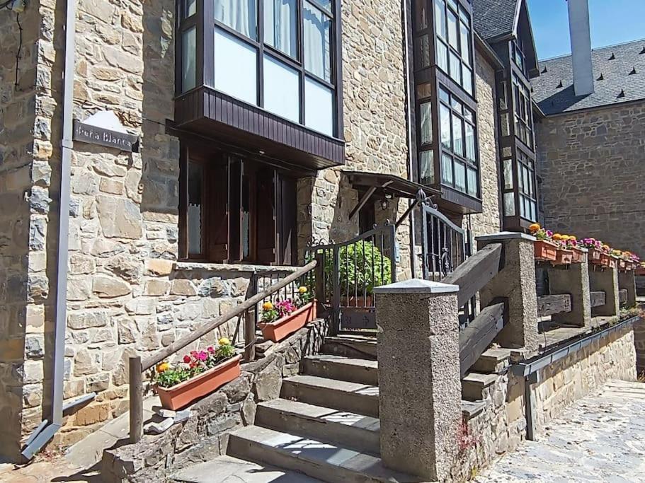 Pena Telera Petfriendly - Arafita Apartamentos El Pueyo de Jaca Eksteriør billede